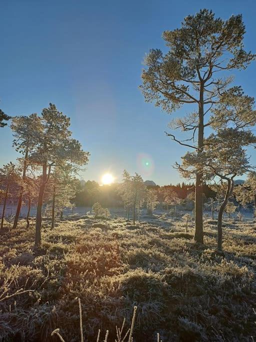 Koselig Og Moderne Leilighet, Meget Sentralt I Narvik Med Gratis Parkering! Dış mekan fotoğraf